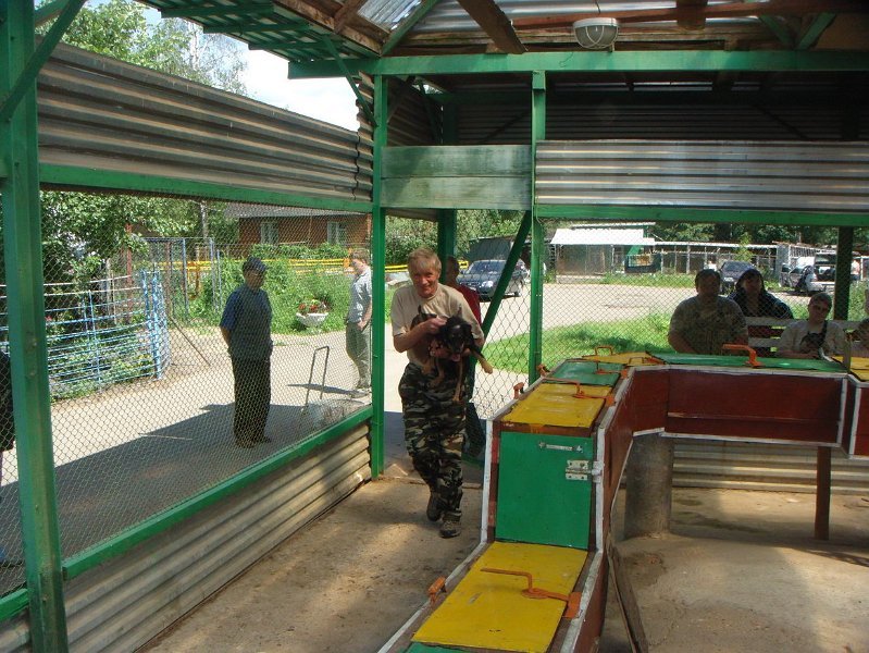 DSC02501