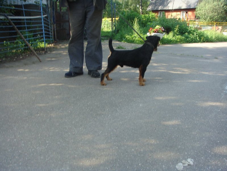 DSC02568