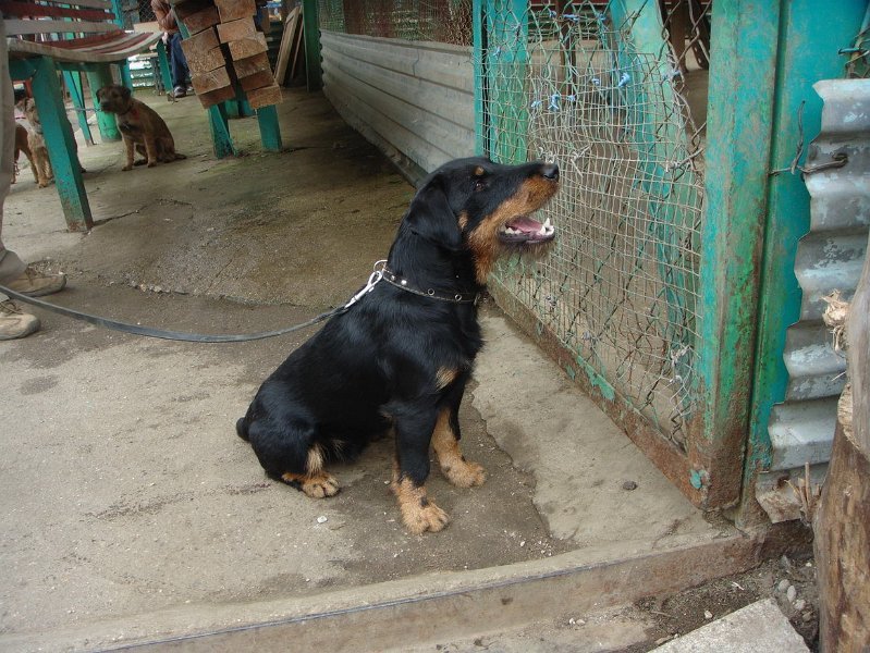 DSC02141