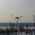 3656