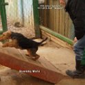 michi � ����