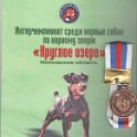 Международный Чемпионат норных собак – InterBau.